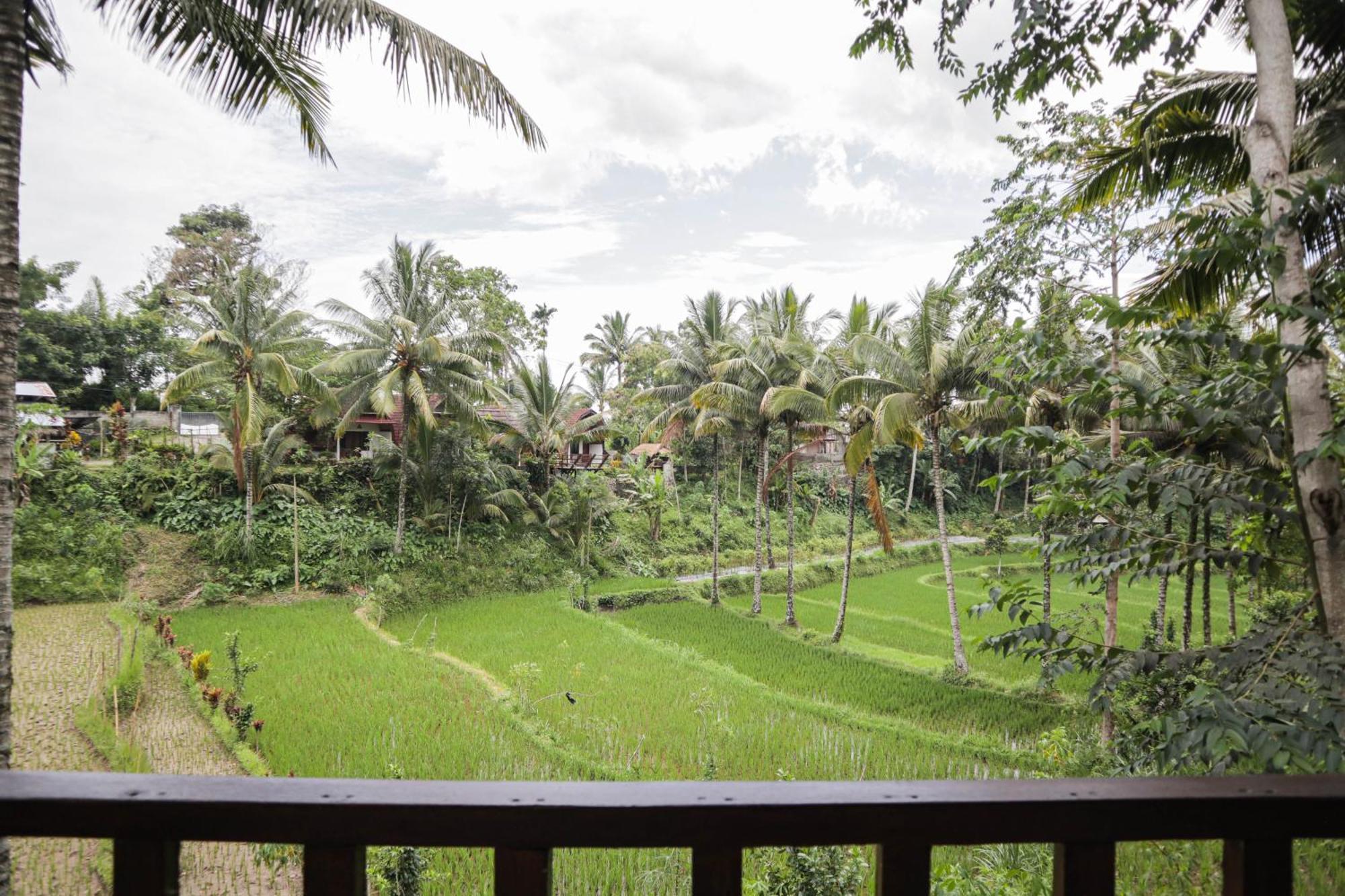 Nea Cottage Lombok Tetebatu Exterior photo