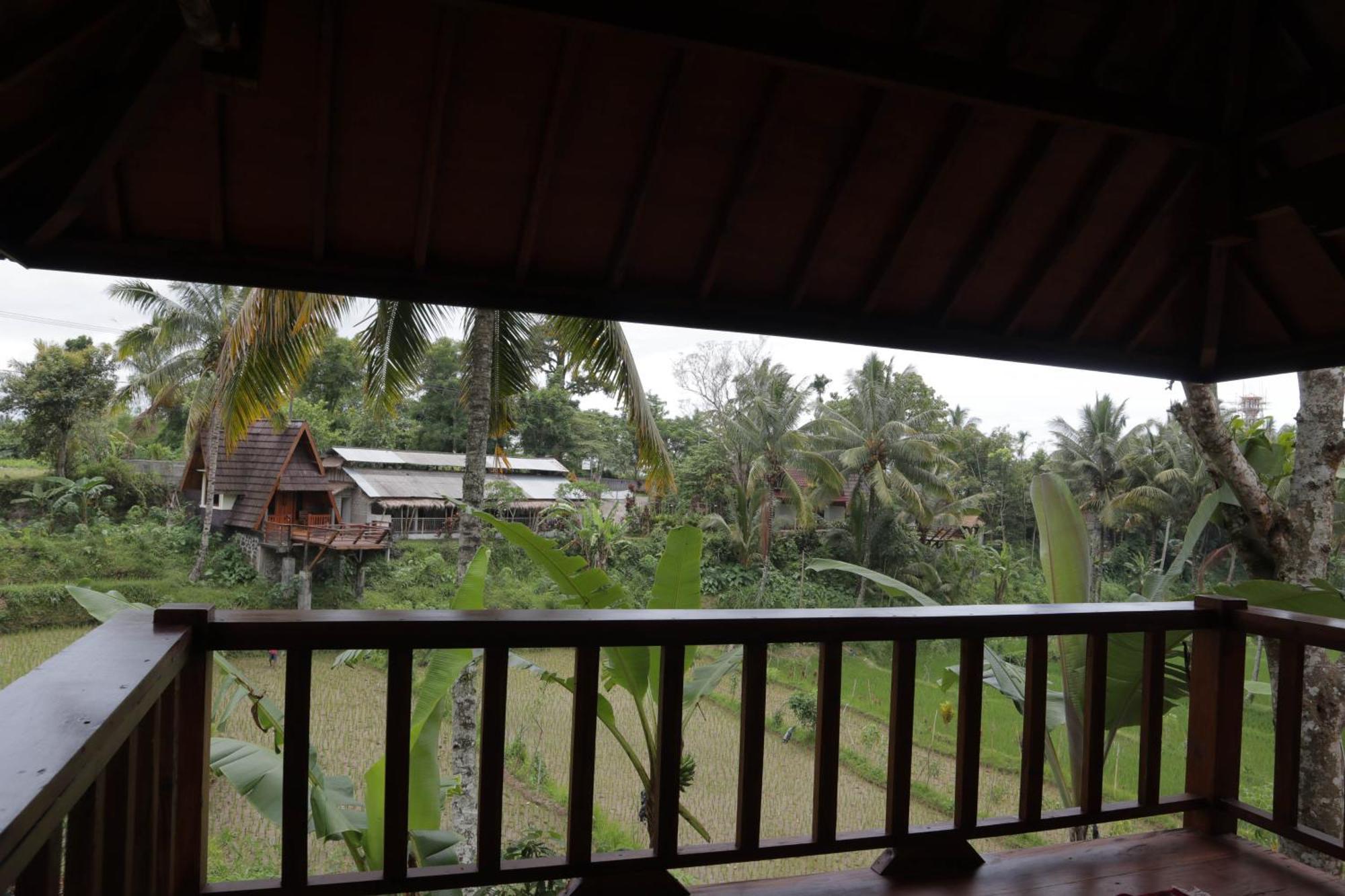Nea Cottage Lombok Tetebatu Exterior photo