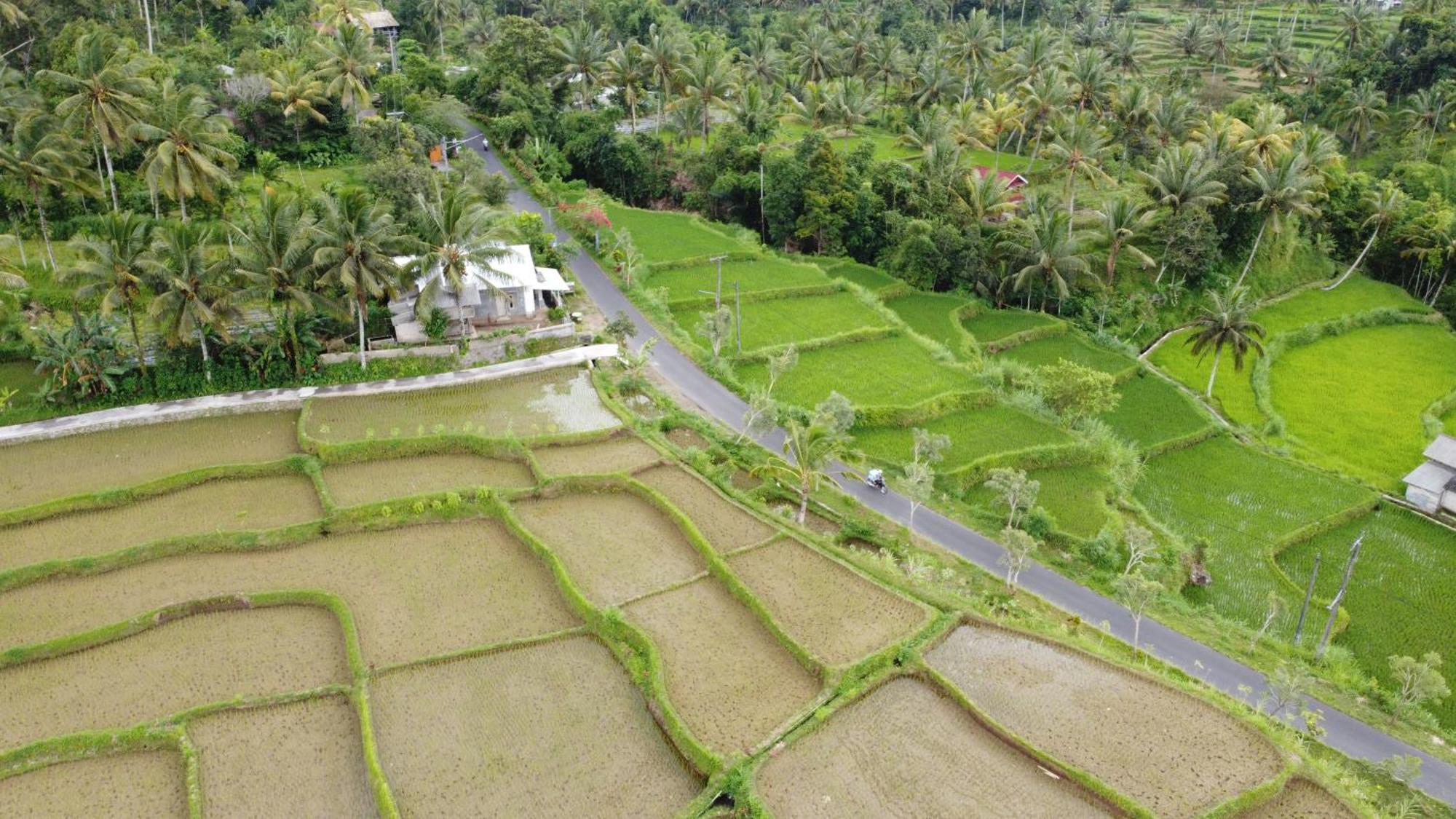 Nea Cottage Lombok Tetebatu Exterior photo
