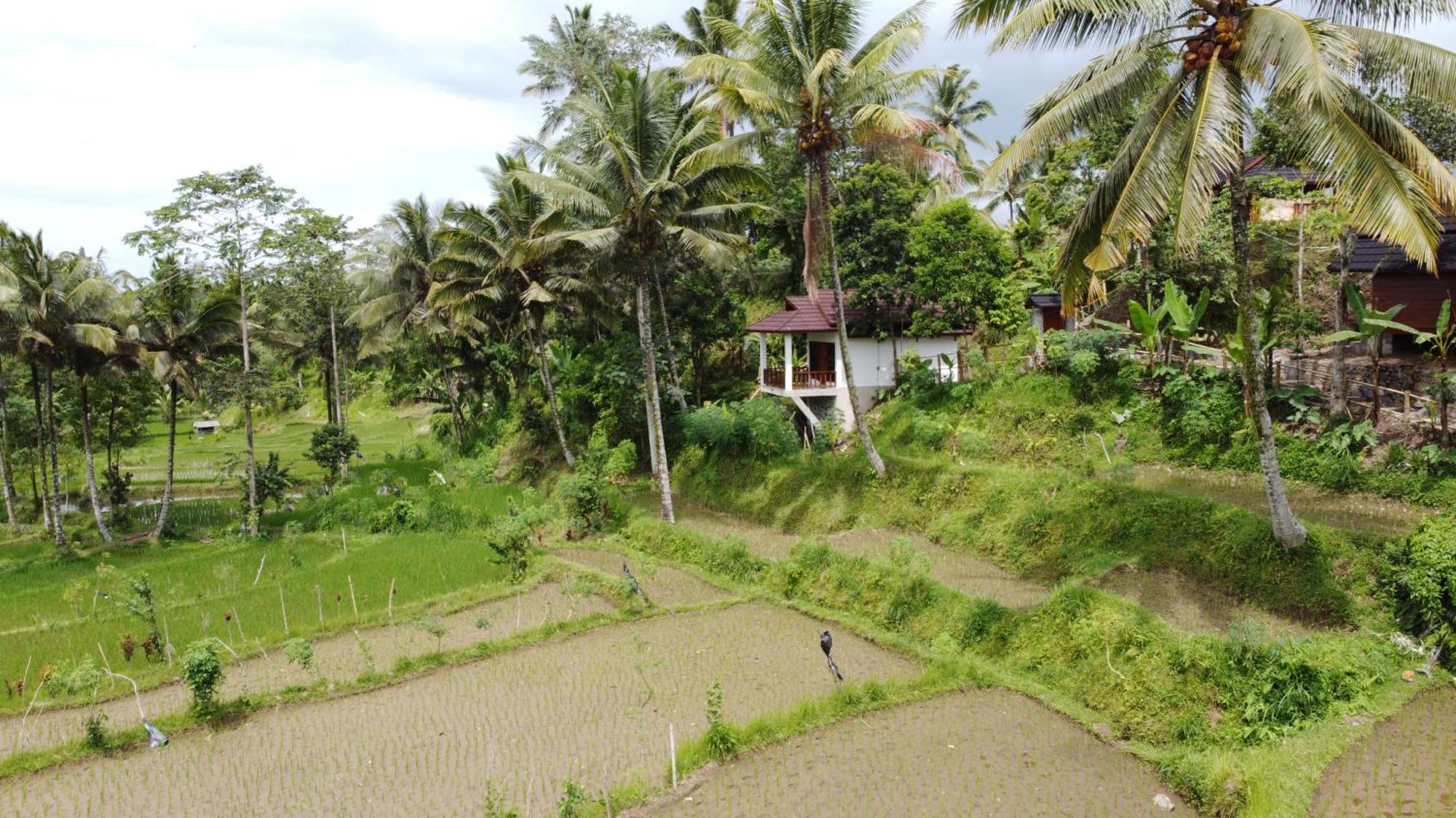 Nea Cottage Lombok Tetebatu Exterior photo