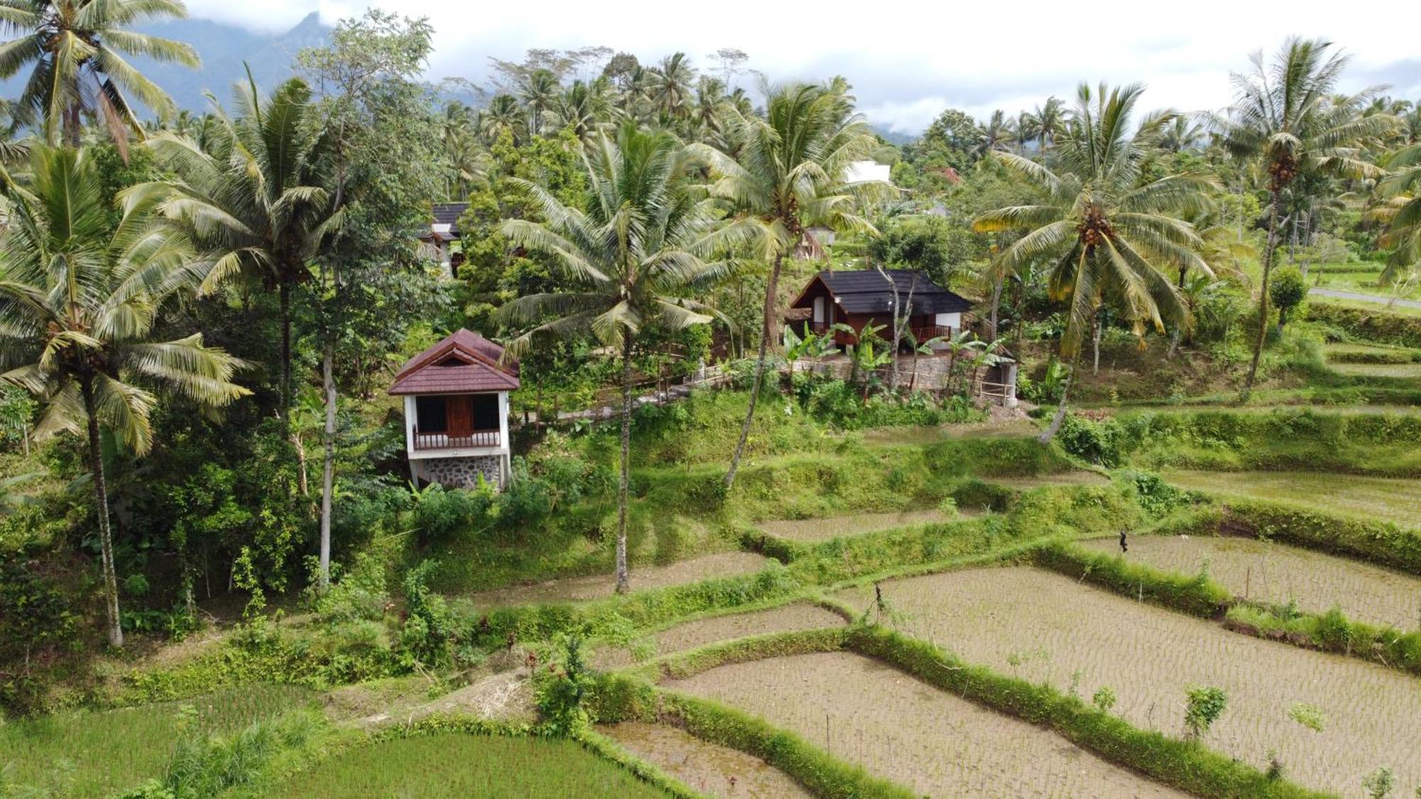 Nea Cottage Lombok Tetebatu Exterior photo