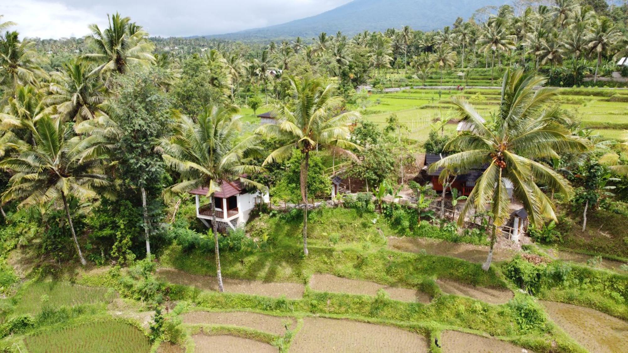 Nea Cottage Lombok Tetebatu Exterior photo