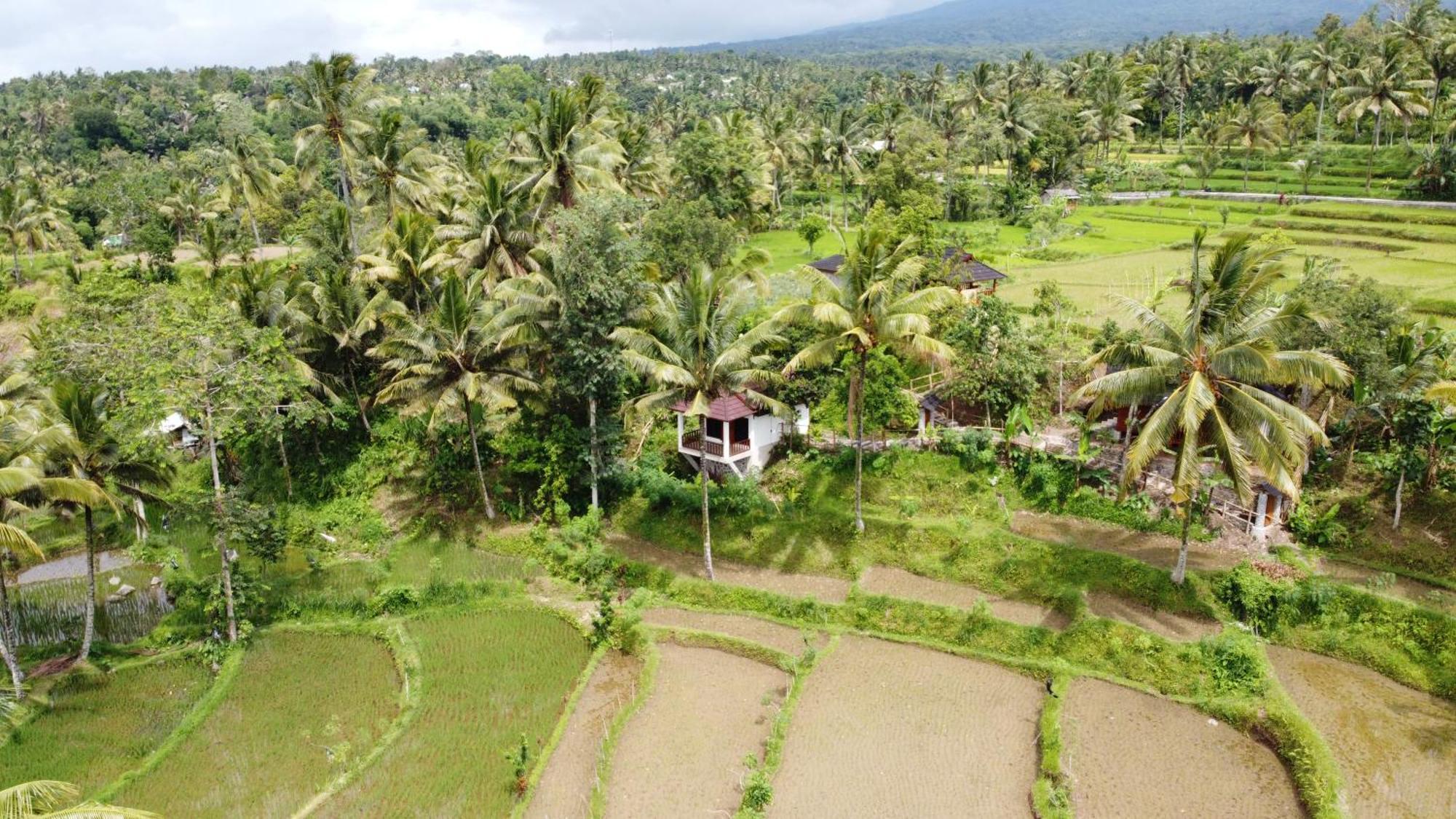 Nea Cottage Lombok Tetebatu Exterior photo