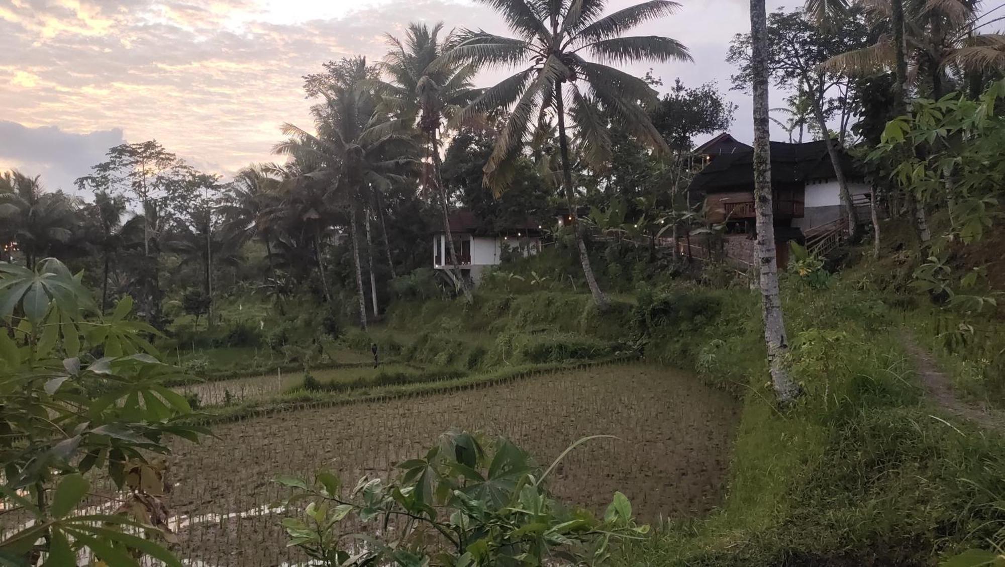 Nea Cottage Lombok Tetebatu Exterior photo