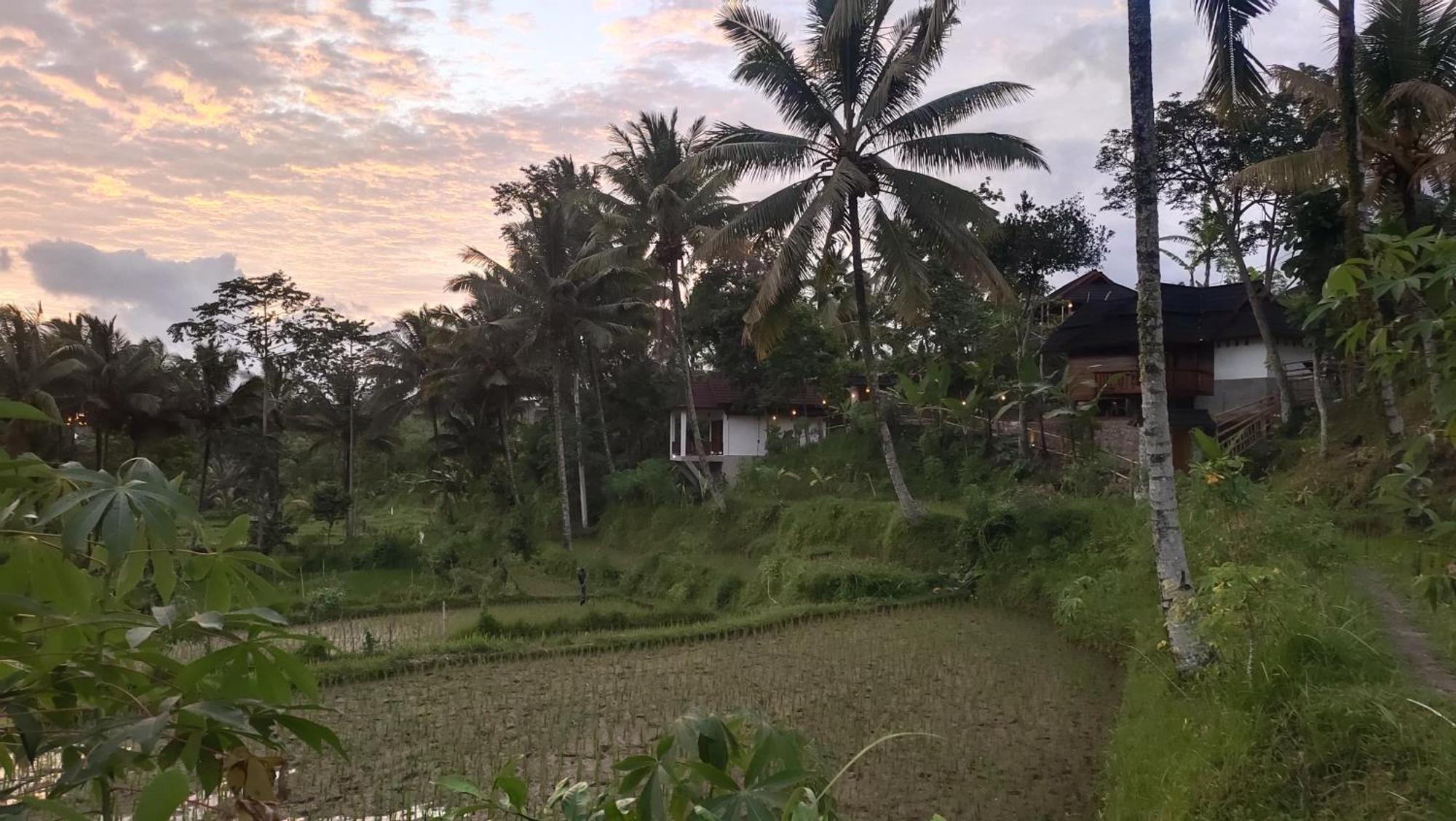 Nea Cottage Lombok Tetebatu Exterior photo